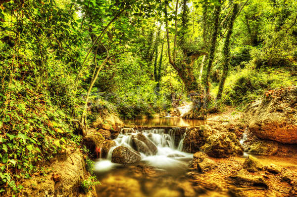 Schönen Wasserfall Wald wunderbar Ansicht Kaskade Stock foto © Anna_Om