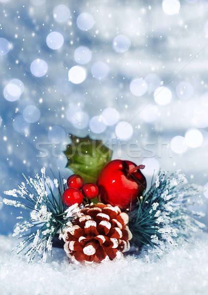 Christmastime still life Stock photo © Anna_Om