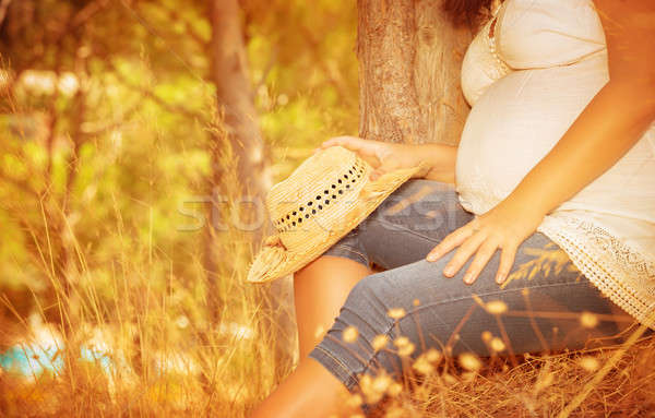 Pregnant girl in autumnal park Stock photo © Anna_Om