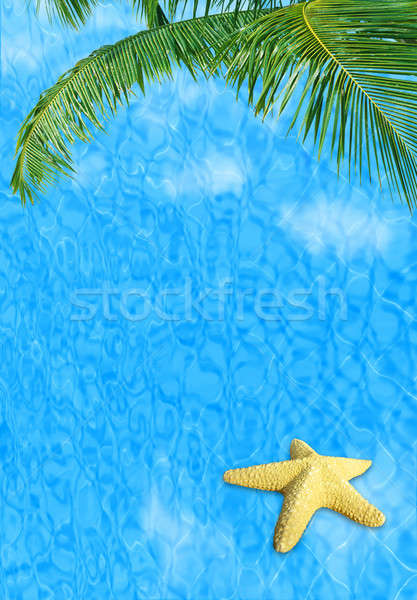 Water background with starfish Stock photo © Anna_Om