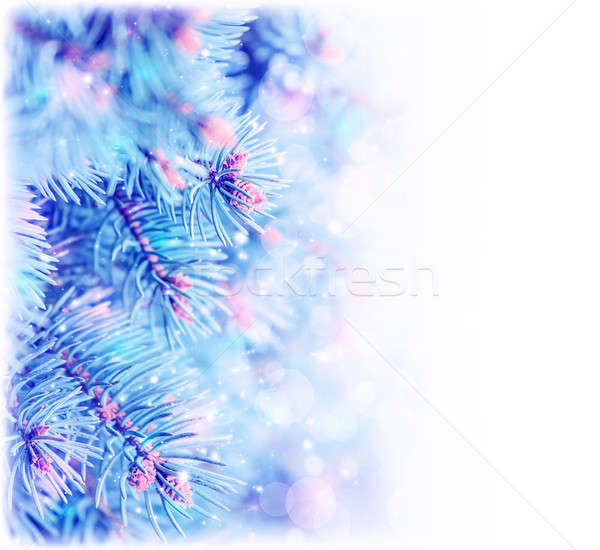 Fenyőfa keret kép fagyott copy space karácsonyfa Stock fotó © Anna_Om