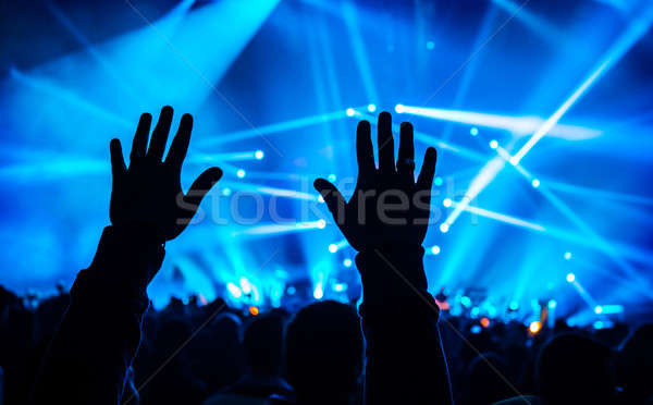 Zene koncert sziluett kezek magasban tömeg emberek Stock fotó © Anna_Om