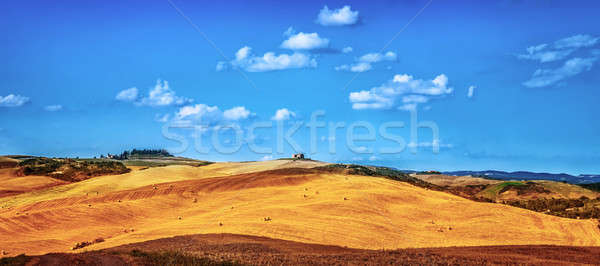 Belle paysage sécher or collines [[stock_photo]] © Anna_Om