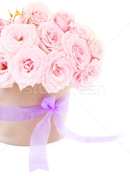 Stockfoto: Pot · roze · rozen · vers · geïsoleerd · witte