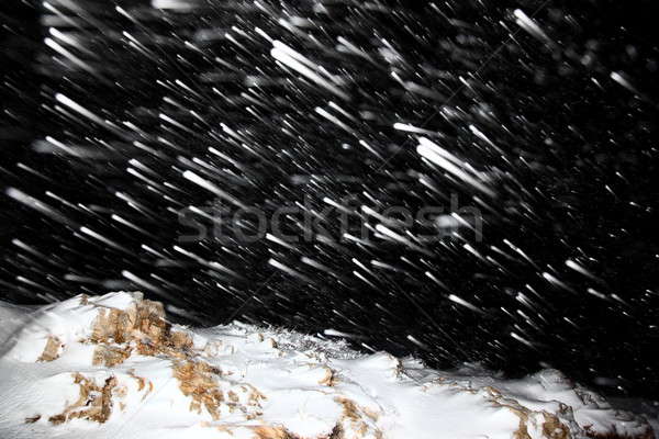 Noc opadów śniegu piękna zimą krajobraz charakter Zdjęcia stock © Anna_Om