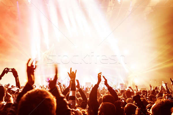 Crowd enjoying concert  Stock photo © Anna_Om