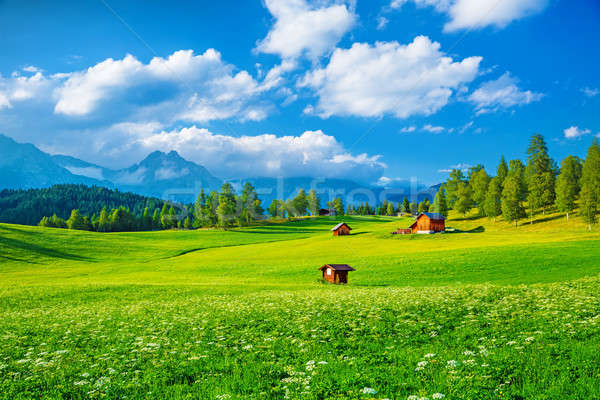 Frumos peisaj vale alpin munţi mic Imagine de stoc © Anna_Om