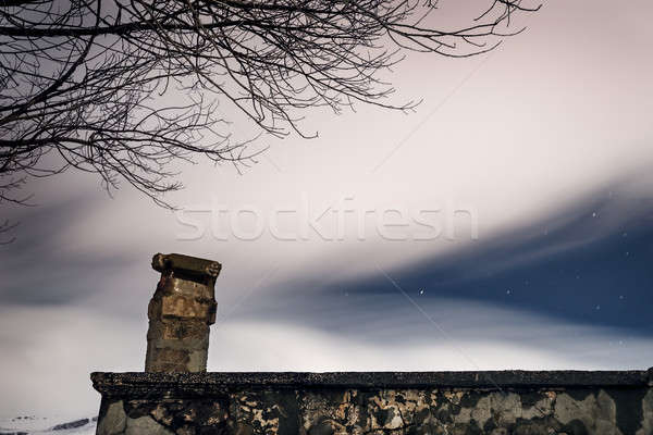 Night starry sky Stock photo © Anna_Om