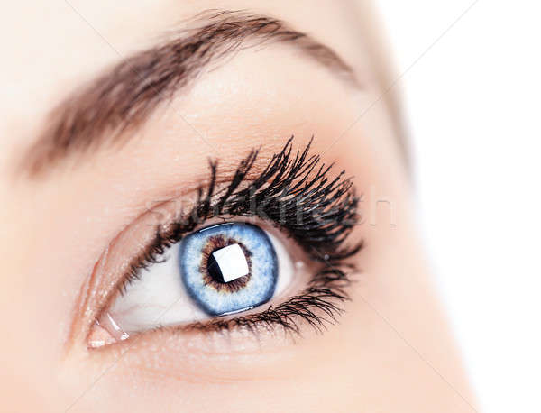 Női kék szem kép egy gyönyörű Stock fotó © Anna_Om