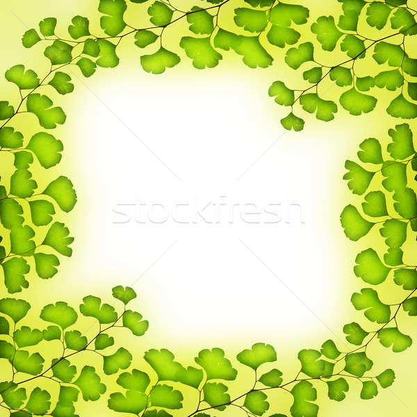 Fresh green leaves frame Stock photo © Anna_Om