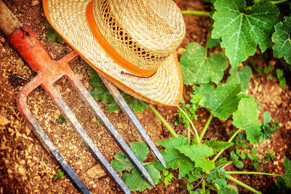 Сток-фото: фермер · инструменты · саду · соломенной · шляпе · землю