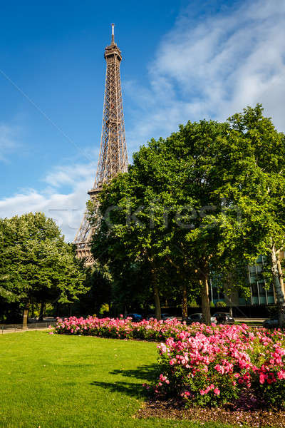 Eiffel Tower and Champs de Mars, Paris, France Stock photo © anshar
