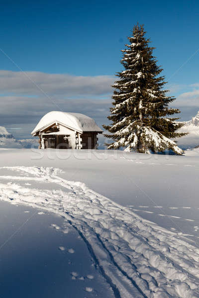 Small Hut and Fir Tree on the Top of the Mountain in French Alps Stock photo © anshar