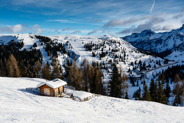 House in Passo Campolongo Valley near Skiing Resort of Arabba, D Stock photo © anshar