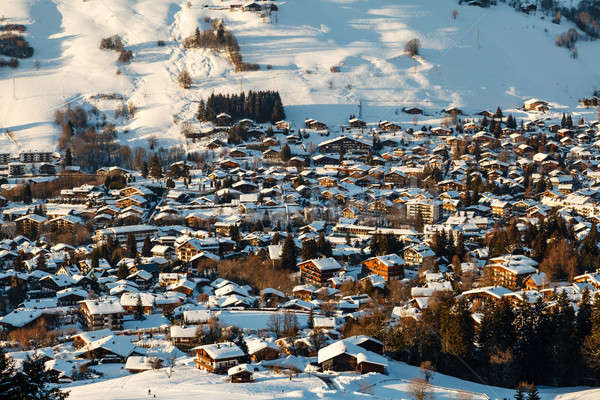 滑雪 訴諸 法國人 阿爾卑斯山 法國 商業照片 © anshar