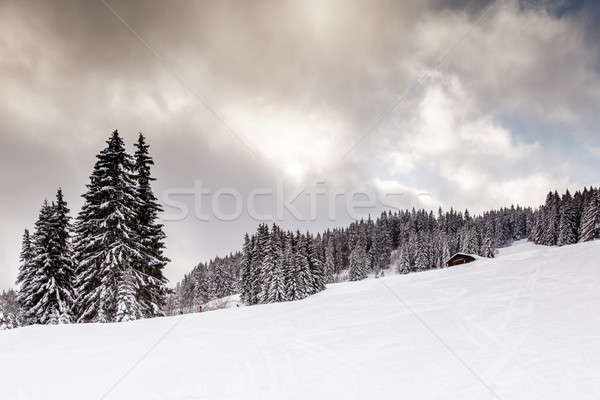 Uphill Ski Slope near Megeve in French Alps, France Stock photo © anshar