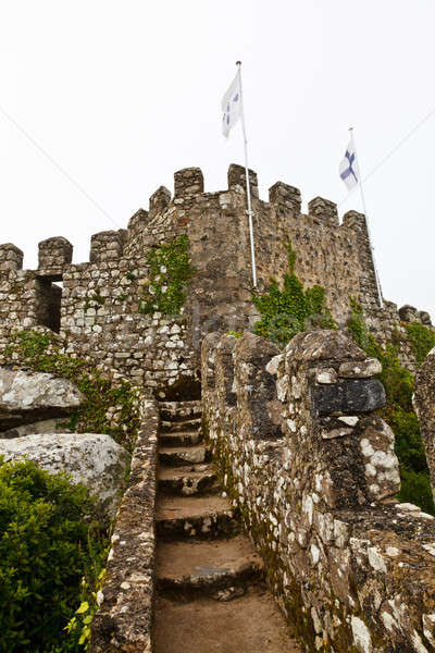 Tower and the Wall in Moorish Castle near Lisbon, Portugal Stock photo © anshar