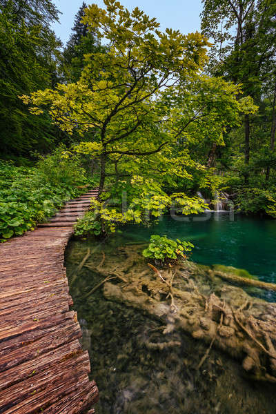 Plitvice Lakes National Park, Croatia Stock photo © anshar