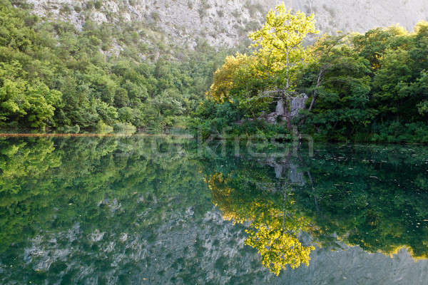 Beautiful Reflection on the River near Split, Croatia Stock photo © anshar