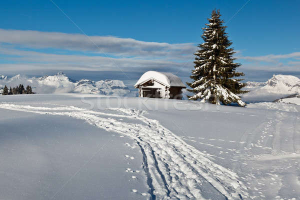 Small Hut and Fir Tree on the Top of the Mountain in French Alps Stock photo © anshar