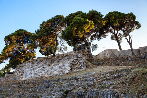 Roman Ampitheater Ruins in the Ancient Town of Pula, Istria, Cro Stock photo © anshar