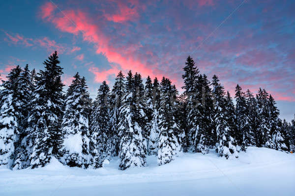 Beautiful Sunrise near Madonna di Campiglio Ski Resort, Italian  Stock photo © anshar