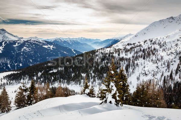 Madonna di Campiglio Ski Resort, Italian Alps, Italy Stock photo © anshar