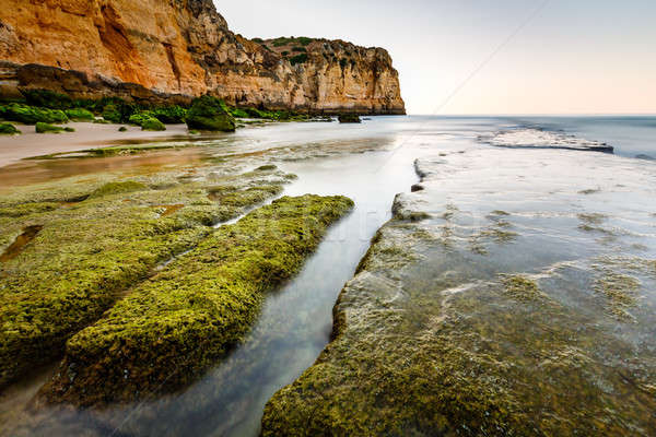 Green Stones At Porto De Mos Beach In Lagos Algarve