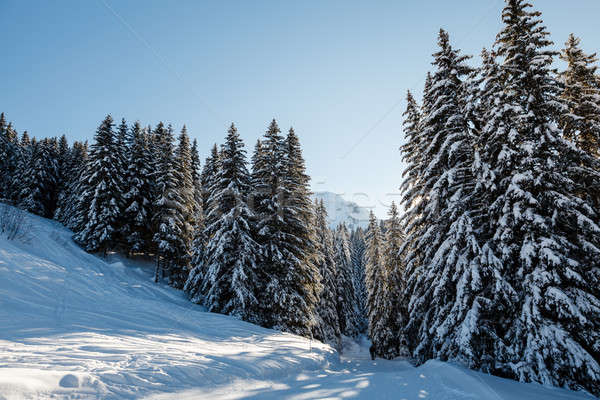 Ski Slope and Beautiful  Landscape in Megeve, French Alps, Franc Stock photo © anshar