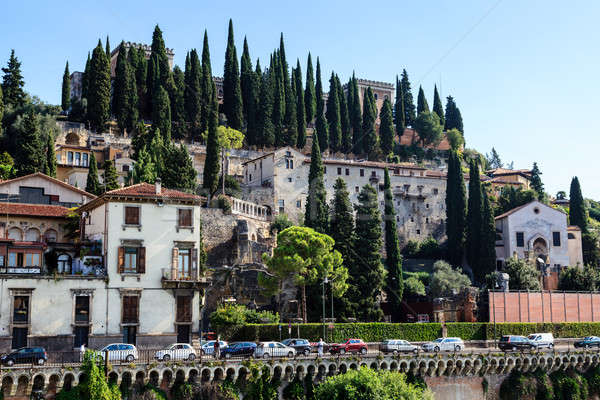 Adige River Embankment in Verona, Veneto, Italy Stock photo © anshar