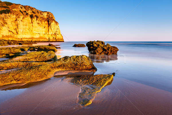Spiaggia Portogallo panorama estate blu sabbia Foto d'archivio © anshar