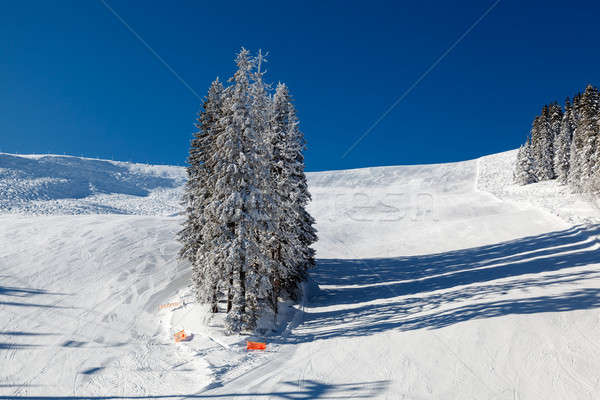 Sonnig Skipiste Französisch Alpen Frankreich Baum Stock foto © anshar
