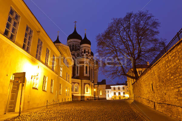 église Tallinn nuit Estonie maison art Photo stock © anshar