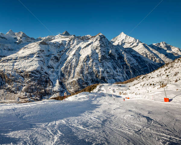 Sonnig Skipiste Berge Schweiz Natur Bäume Stock foto © anshar