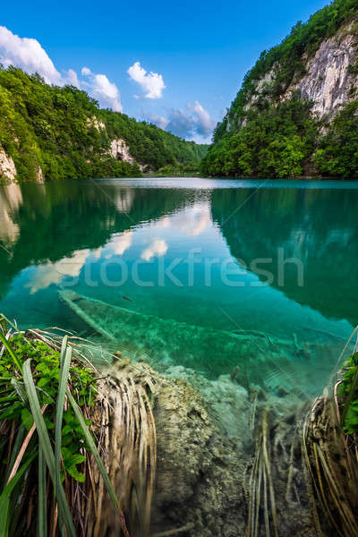 Sunk Boat in Plitvice Lakes National Park in Croatia Stock photo © anshar