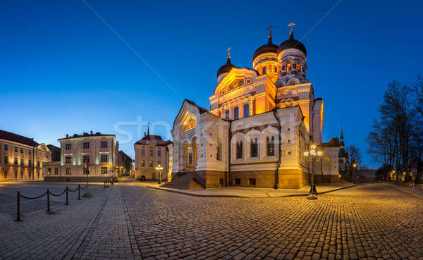Panorama cathédrale Tallinn Estonie bâtiment Photo stock © anshar