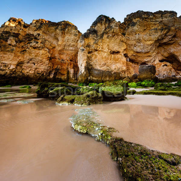 綠色 石頭 海灘 葡萄牙 夏天 藍色 商業照片 © anshar