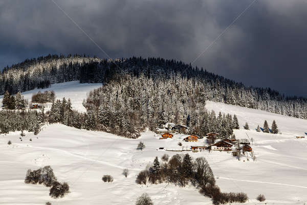 Chalets on the Mountain Slope in Village of Megeve, French Alps Stock photo © anshar