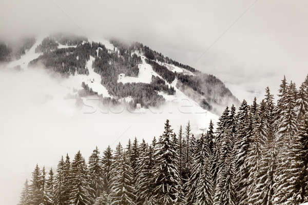 Skipiste Französisch Alpen Frankreich Wald Natur Stock foto © anshar