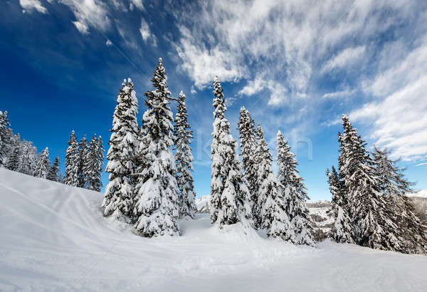 Ski Slope near Madonna di Campiglio Ski Resort, Italian Alps, It Stock photo © anshar