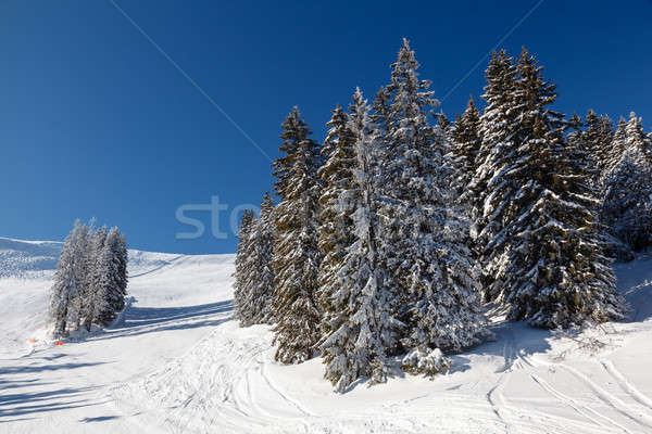Foto stock: Pista · de · esquí · hermosa · paisaje · francés · alpes · Francia