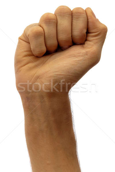Masculino punho dedos mão branco Foto stock © Antartis