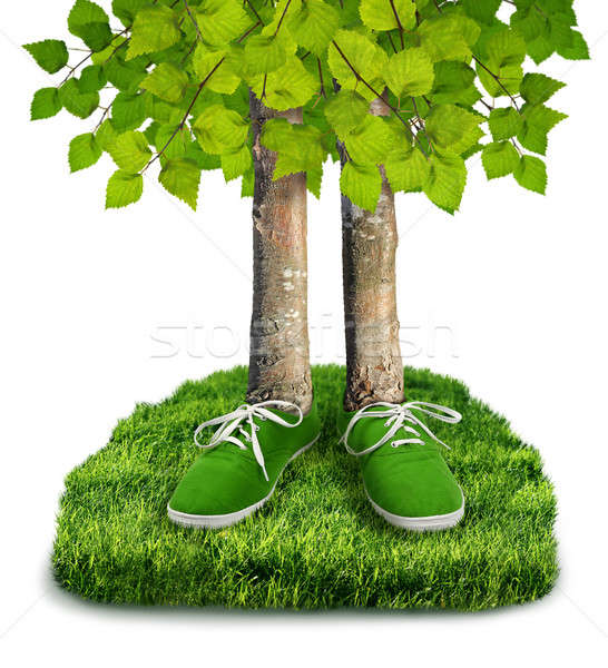 Vert empreinte carbone environnement arbres chaussures isolé Photo stock © Anterovium