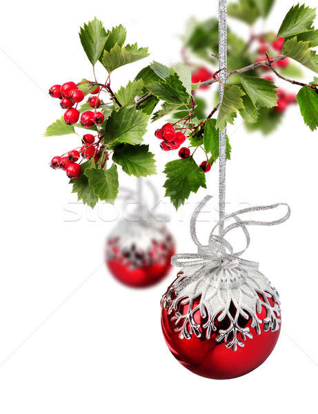 Red Christmas balls hawthorn Stock photo © Anterovium