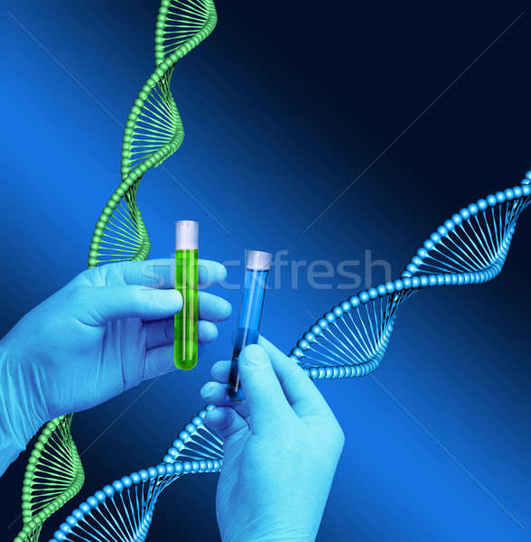 Test laborator ADN-ul spirala model Imagine de stoc © Anterovium