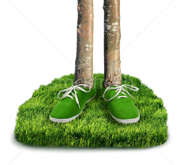 Vert empreinte carbone environnement chaussures arbres isolé Photo stock © Anterovium