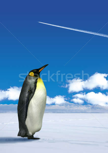 Pinguin alb urmari Blue Sky glob abstract Imagine de stoc © Anterovium