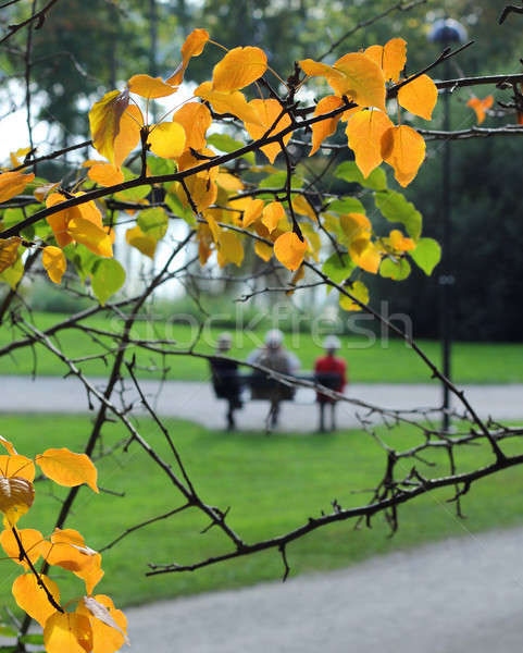 Vârstnici oameni relaxare toamnă parc frunze Imagine de stoc © Anterovium