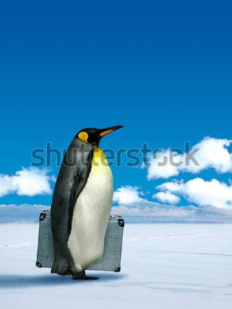 Penguin wondering grass Stock photo © Anterovium