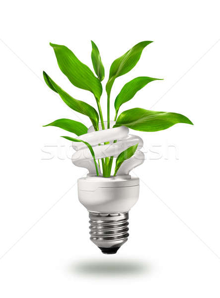 Lampă energie eco verde Imagine de stoc © Anterovium